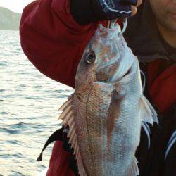 ブルドック 釣果