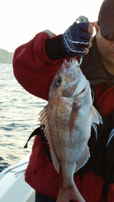 ブルドック 釣果