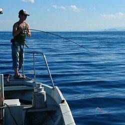 あみや渡船 JIGBOY 釣果