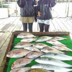 海の釣堀 海恵 釣果
