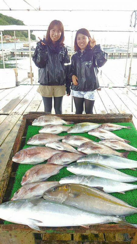 海の釣堀 海恵 釣果