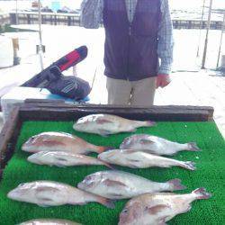 海の釣堀 海恵 釣果