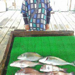 海の釣堀 海恵 釣果