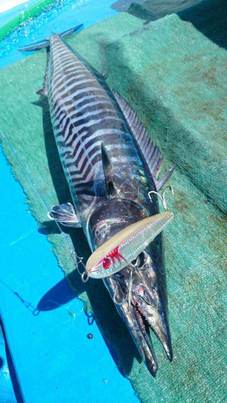 第三共栄丸 釣果