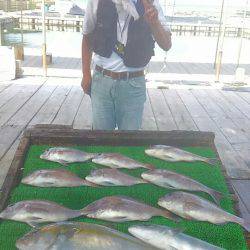 海の釣堀 海恵 釣果