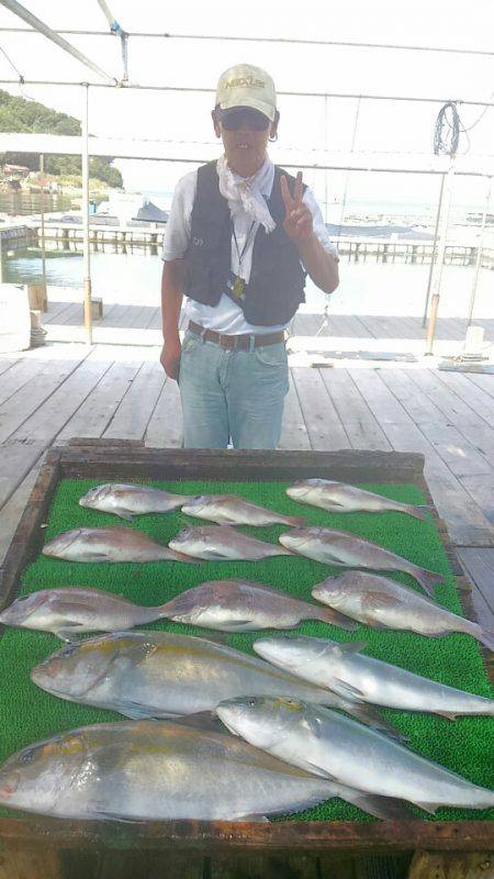 海の釣堀 海恵 釣果