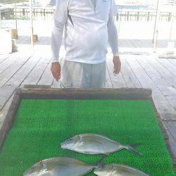 海の釣堀 海恵 釣果