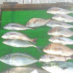海の釣堀 海恵 釣果