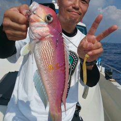 ARCADIAⅡ (アルカディアⅡ) 釣果