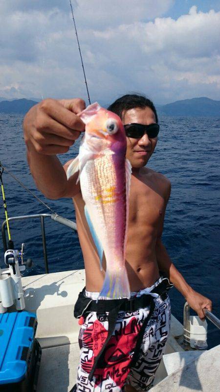 ARCADIAⅡ (アルカディアⅡ) 釣果