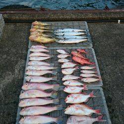 ARCADIAⅡ (アルカディアⅡ) 釣果