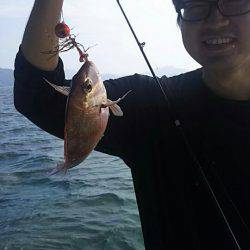 タイラバ遊漁船 ワンピース 釣果