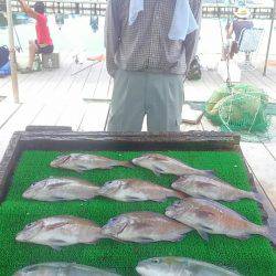 海の釣堀 海恵 釣果