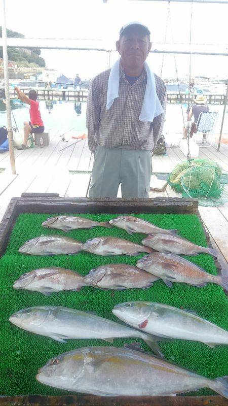海の釣堀 海恵 釣果