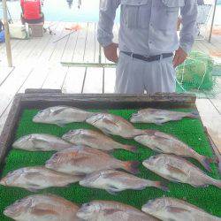 海の釣堀 海恵 釣果