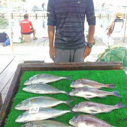 海の釣堀 海恵 釣果