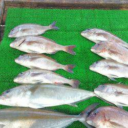 海の釣堀 海恵 釣果