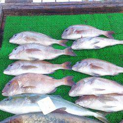 海の釣堀 海恵 釣果