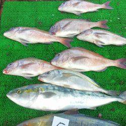 海の釣堀 海恵 釣果