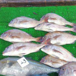 海の釣堀 海恵 釣果