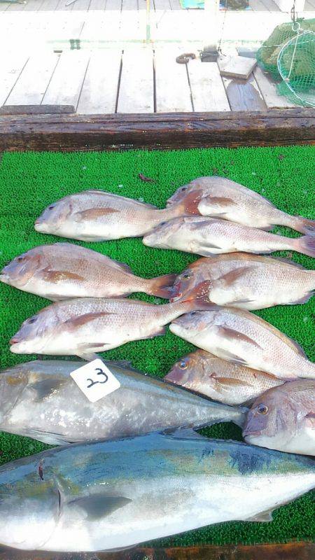 海の釣堀 海恵 釣果