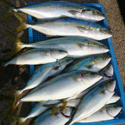 第三共栄丸 釣果