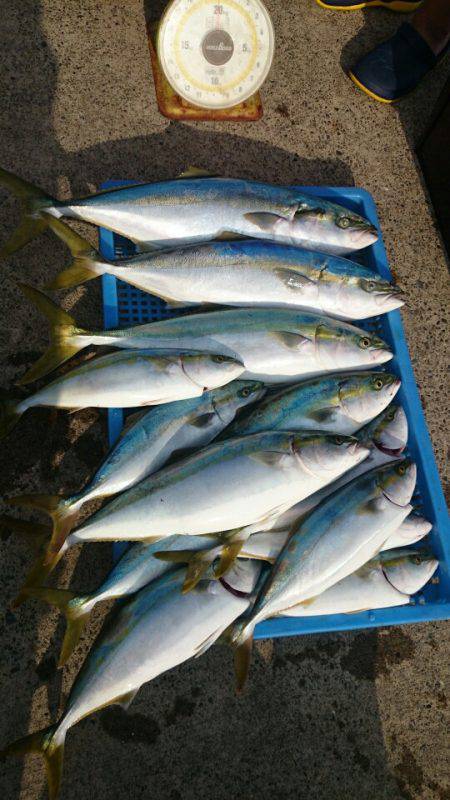 第三共栄丸 釣果