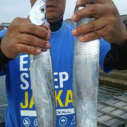 サンマリン 釣果