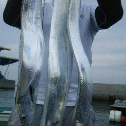 サンマリン 釣果