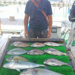 海の釣堀 海恵 釣果