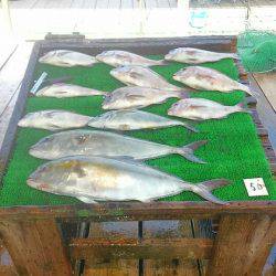 海の釣堀 海恵 釣果