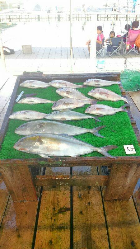 海の釣堀 海恵 釣果
