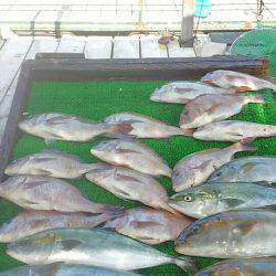 海の釣堀 海恵 釣果