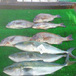 海の釣堀 海恵 釣果