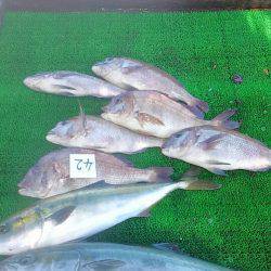 海の釣堀 海恵 釣果