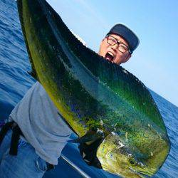 ARCADIAⅡ （アルカディアⅡ） 釣果