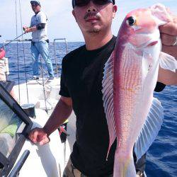 ARCADIAⅡ （アルカディアⅡ） 釣果