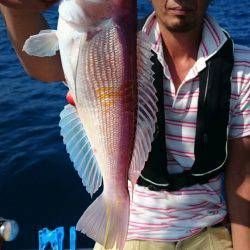 ARCADIAⅡ （アルカディアⅡ） 釣果