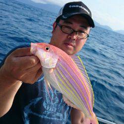 ARCADIAⅡ （アルカディアⅡ） 釣果