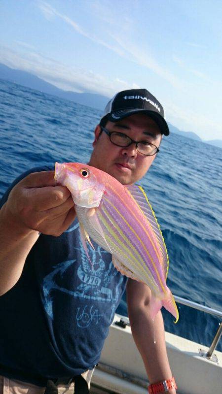 ARCADIAⅡ （アルカディアⅡ） 釣果