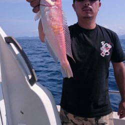 ARCADIAⅡ （アルカディアⅡ） 釣果