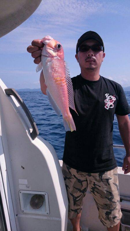 ARCADIAⅡ （アルカディアⅡ） 釣果