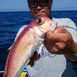 ARCADIAⅡ （アルカディアⅡ） 釣果