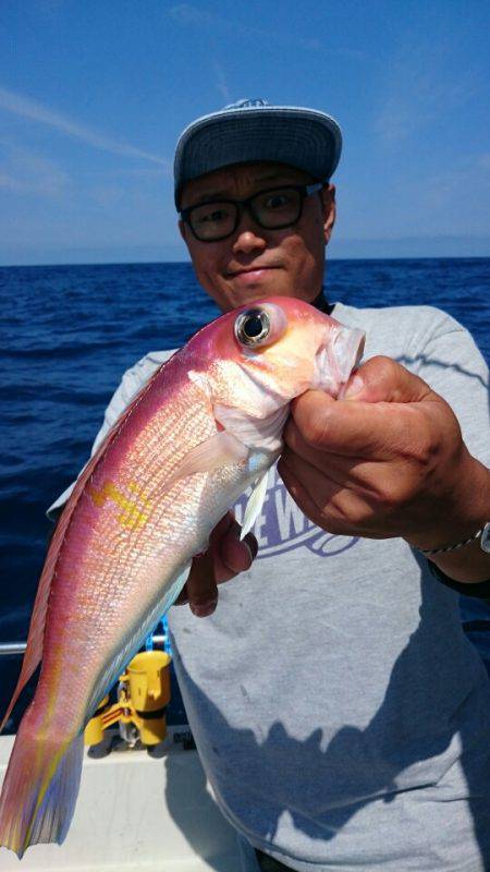 ARCADIAⅡ （アルカディアⅡ） 釣果