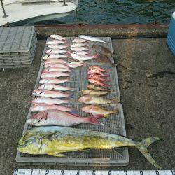 ARCADIAⅡ （アルカディアⅡ） 釣果