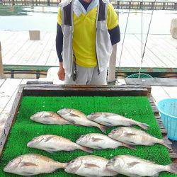 海の釣堀 海恵 釣果