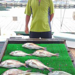 海の釣堀 海恵 釣果