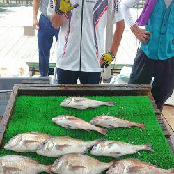 海の釣堀 海恵 釣果