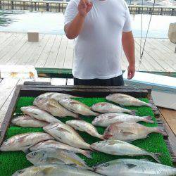 海の釣堀 海恵 釣果