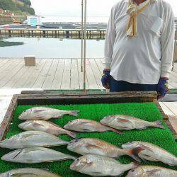 海の釣堀 海恵 釣果